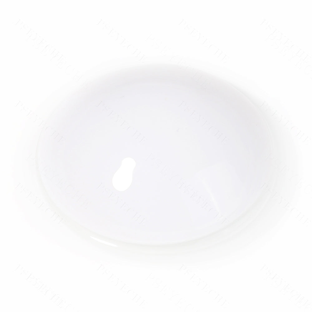 Blind White Sclera Contacts - PsEYEche