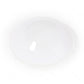 All White Sclera Contacts - PsEYEche