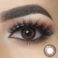 3 Tone Brown Eyes