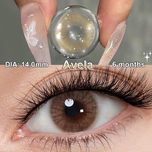 Queen Avela Coloured Contacts | 6 Months